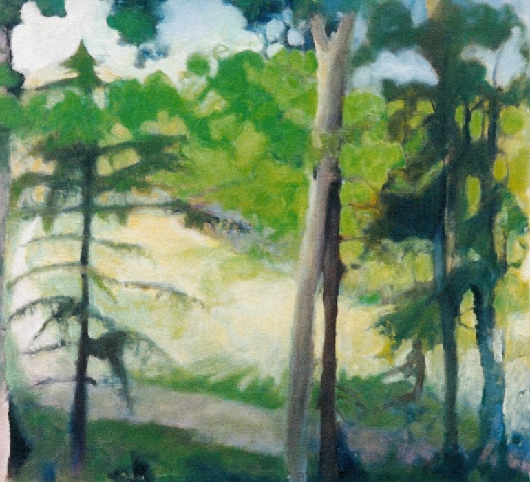 Gurleyville Driveway from Kitchen