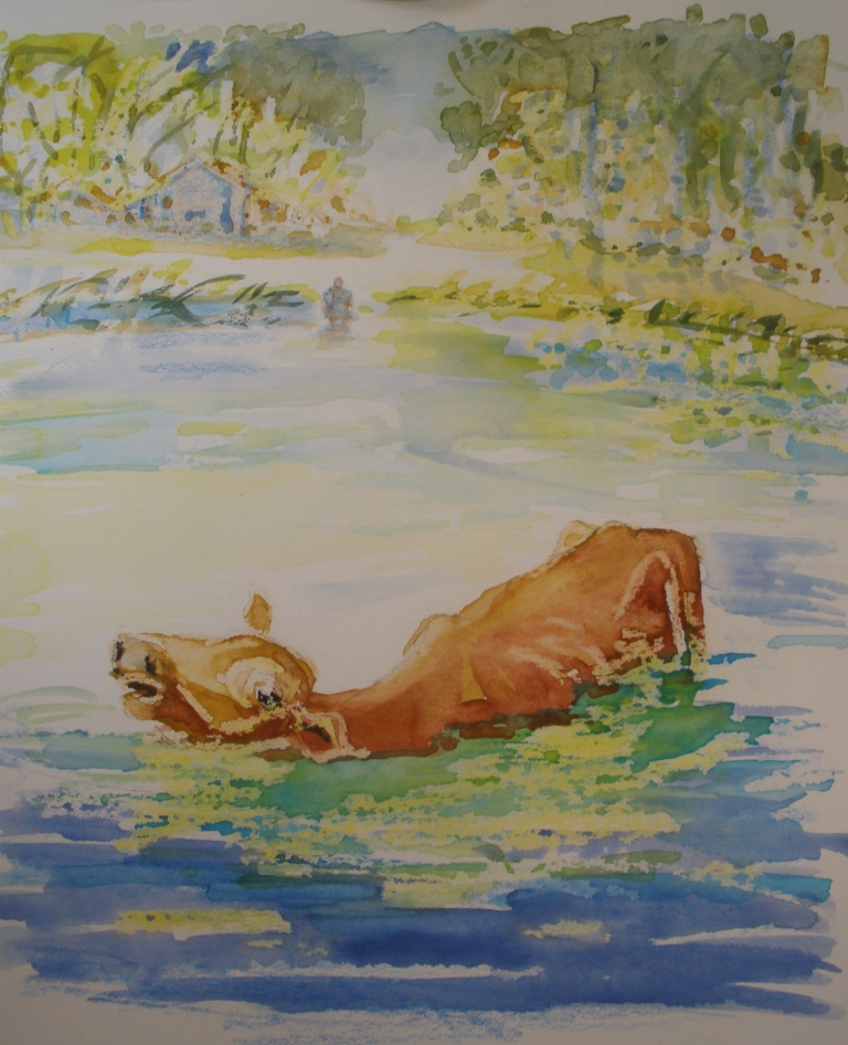 OLYMPUS DIGITAL CAMERA