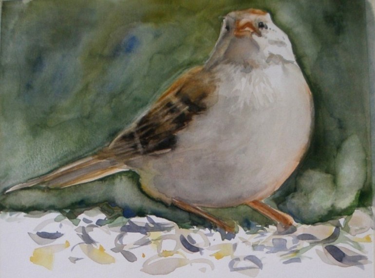 Sparrow angry LOW RES