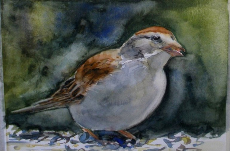 Sparrow with Blue shadow LOW RES