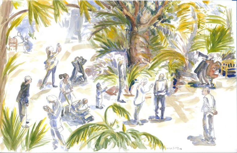 The Day the Sloth Moved LOW RES